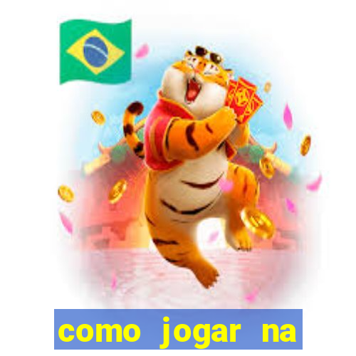 como jogar na lotinha do jogo do bicho